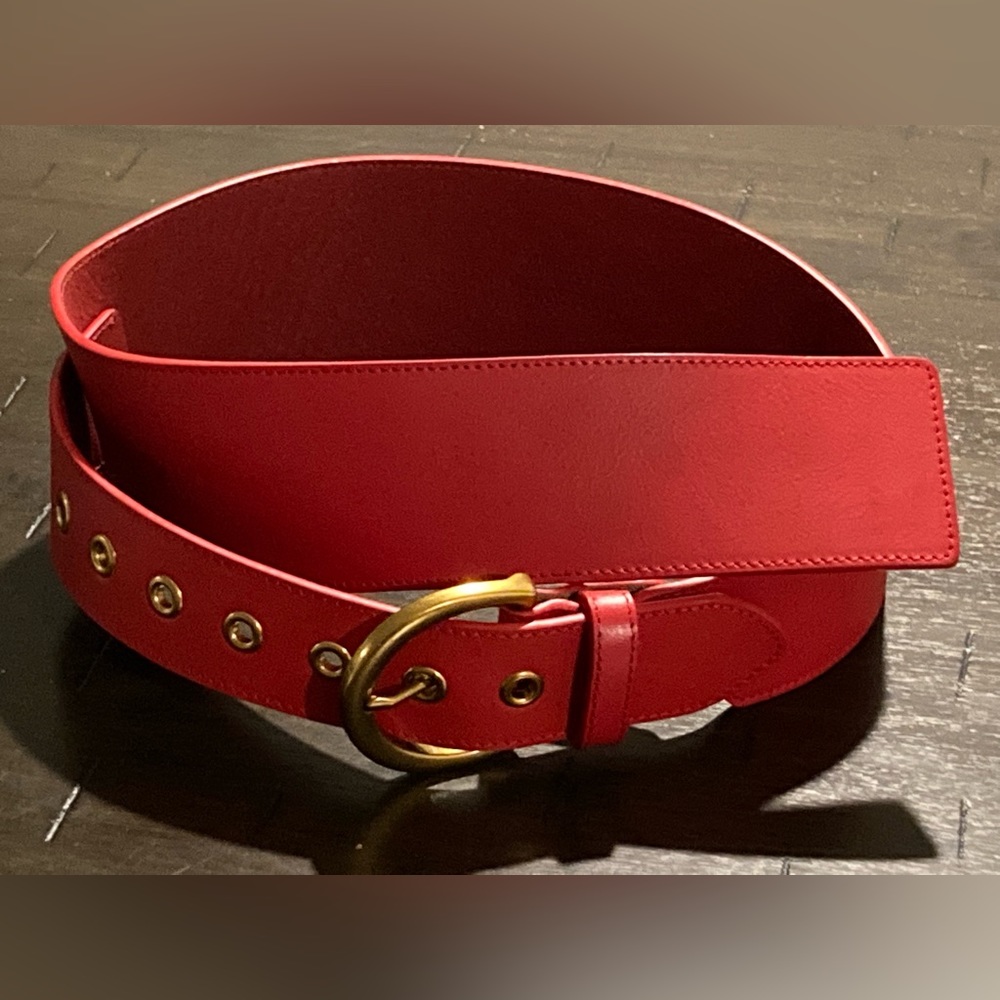 sergio hudson x target red belt